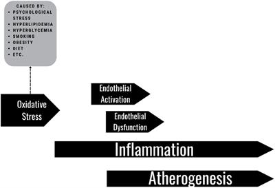 Systemic inflammation among adults with diagnosed and undiagnosed cardiometabolic conditions: a potential missed opportunity for cardiovascular disease prevention